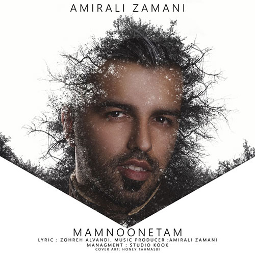 http://dl.face1music.net/RadioJavan%201395/Bahman%2095/16/Amirali-Zamani-Mamnonetam.jpg