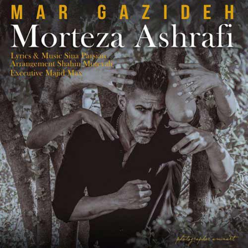 http://dl.face1music.net/RadioJavan%201396/Tir/30/Morteza-Ashrafi---Mar-Gazideh.jpg
