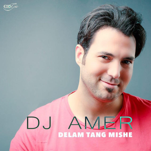 http://dl.face1music.net/radiojavan%201394/dey%2094/27/DJ-Amer-Delam-Tang-Mishe.jpg